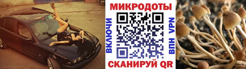 мориарти Telegram  Туапсе  Галлюциногенные грибы GOLDEN TEACHER 