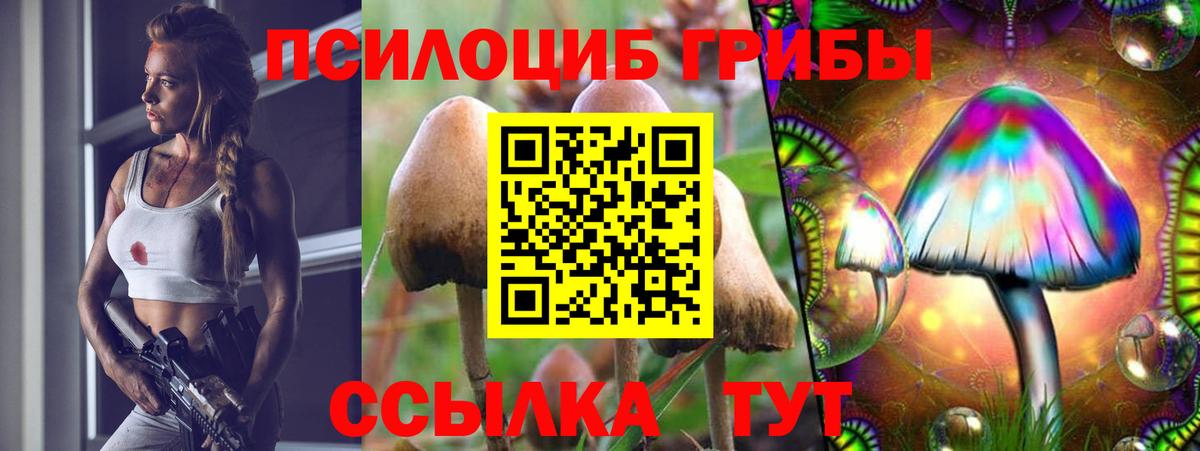 Туапсе  Галлюциногенные грибы прущие грибы  Вход с VPN 
